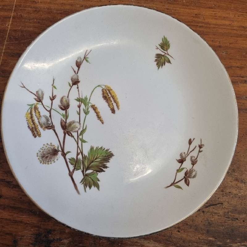 Vintage Pussy Willow Ridgway Side plate - Made in Staffordshire England - Diameter 17.5cm