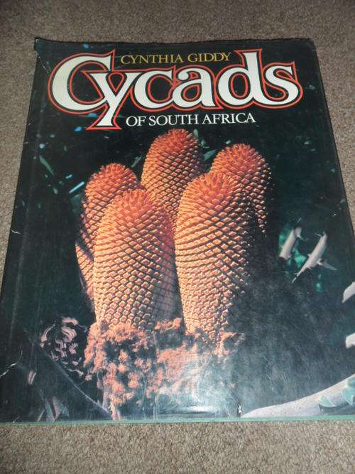 Cynthia Giddy - Cycads of South Africa