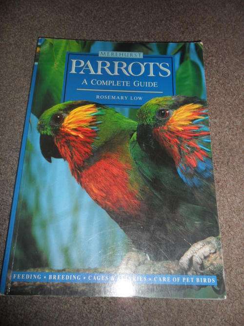 Parrots - A Complete Guide - Rosemary Low