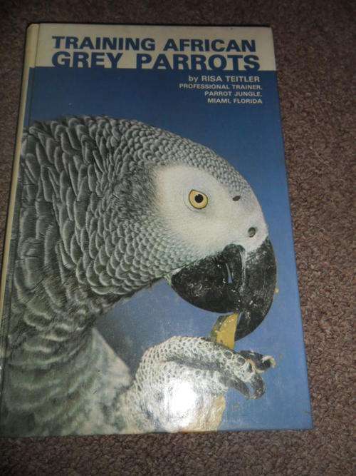 Training African Grey Parrots by Risa Teitler