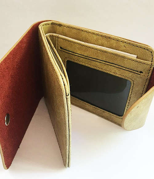 Dota 2 Wallet