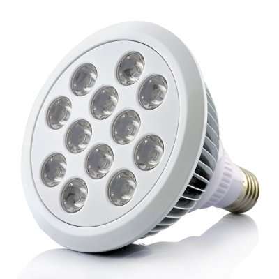 LED Grow Light - 12 LEDs, 12W, Red, Blue, Orange