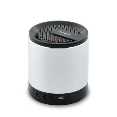 **Priced to clear!** Mini Stainless Steel Bluetooth Speaker "Steel Buddy" - E213
