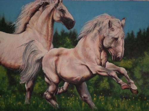 Massive original oil on streched canvas (Two white horses)