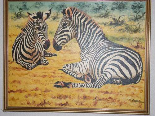 Zebras by S Benedicto
