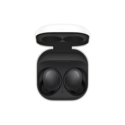 Samsung Buds 2 Graphite