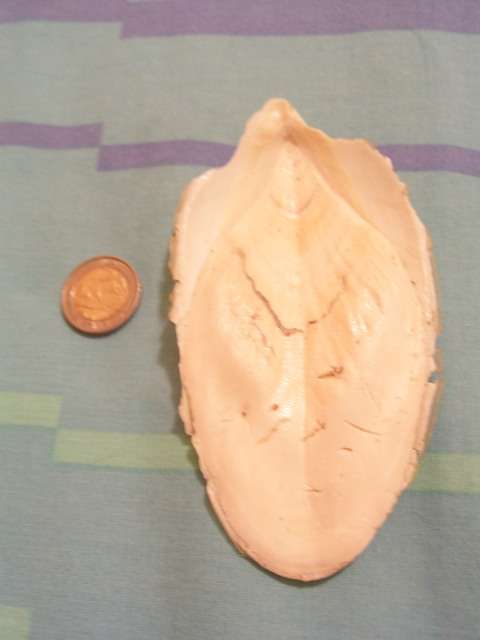 Parrot/Budgie beak sharpening accessory