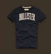 FREE SHIPPING - HOLLISTER - MEN'S T SHIRTS -SIZE LARGE -