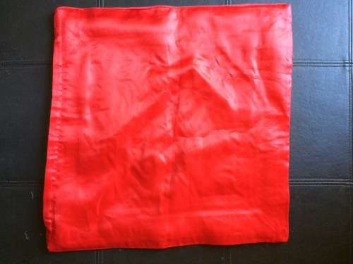 Vintage 100% silk Chinees embroyed pillow case