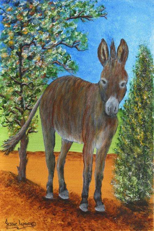 ***** CRAAAZY R1 AUCTION *****  JESSIE MEIER ORIGINAL : DONKEY