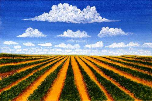 ***** CRAAAZY R1 AUCTION *****  JESSIE MEIER ORIGINAL : VINEYARD