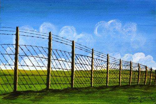 ***** CRAAAZY R1 AUCTION *****  JESSIE MEIER ORIGINAL : THE FENCE