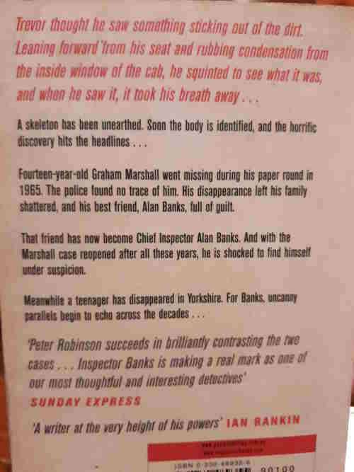 The Summer That Never Was - Peter Robinson