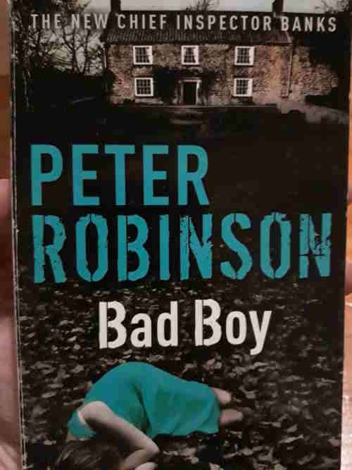 Bad Boy - Peter Robinson