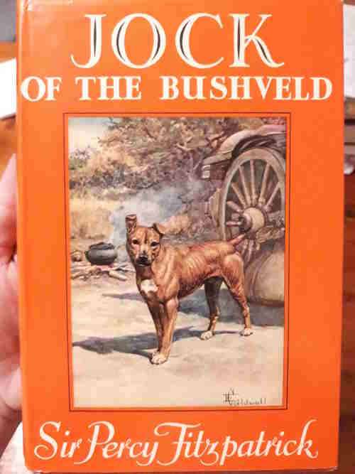 Jock of the Bushveld - Sir Percy FitzPatrick