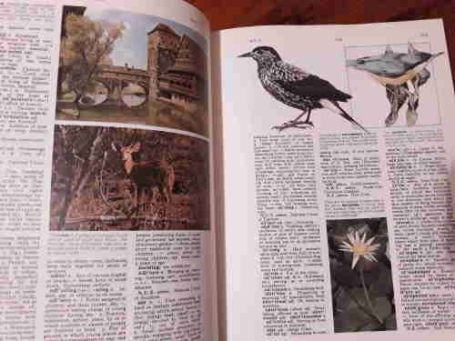 The New Oxford Illustrated Dictionary - volumes 1 and 2