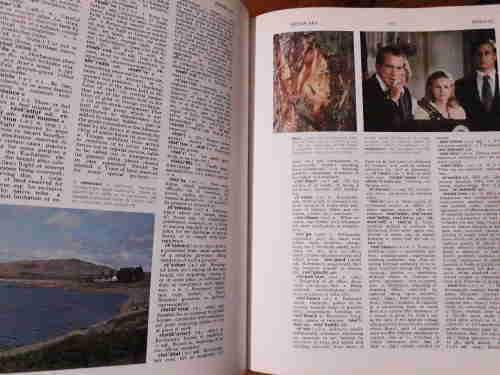 The New Oxford Illustrated Dictionary - volumes 1 and 2