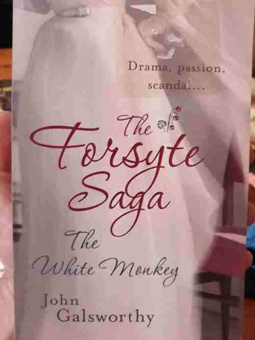 The Forsyte Saga - book lot - see titles inside - John Galsworthy