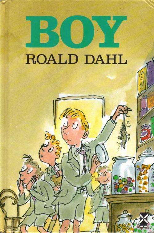 Boy - Roald Dahl