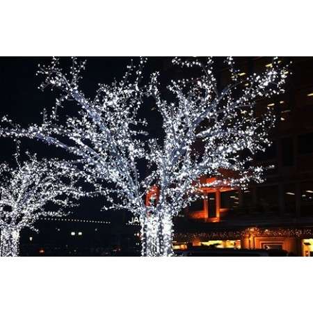 Solar Fairy Lights