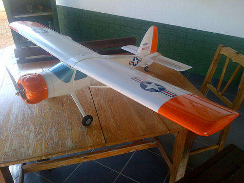 RC Beaver