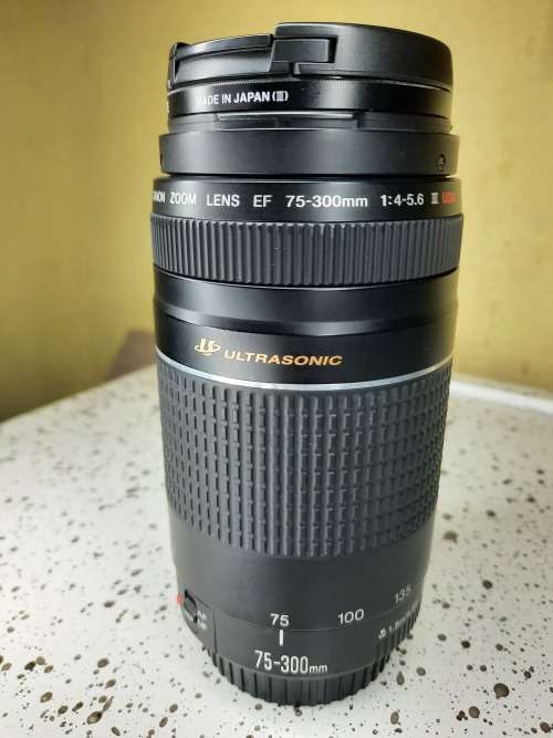 Canon Ultrasonic Zoom Lens