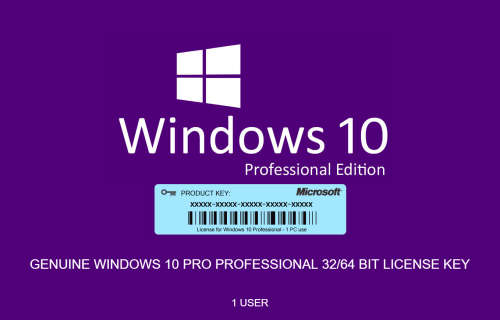 Microsoft Windows 10 Professional