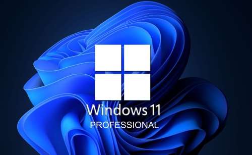 Windows 11