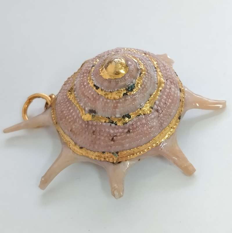 Shell Pendant #F0033