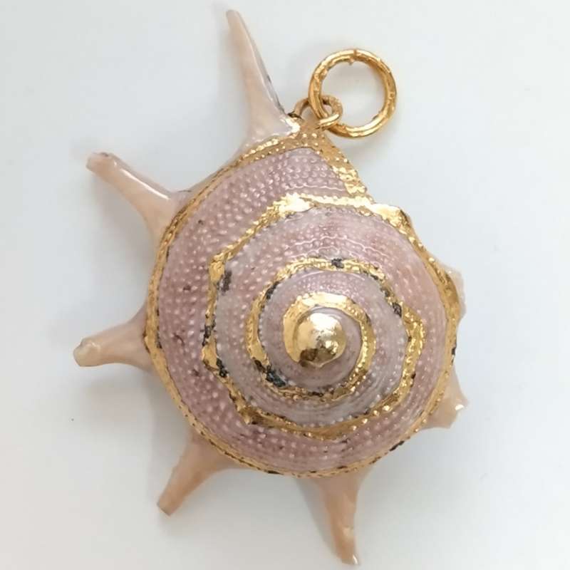 Shell Pendant #F0033