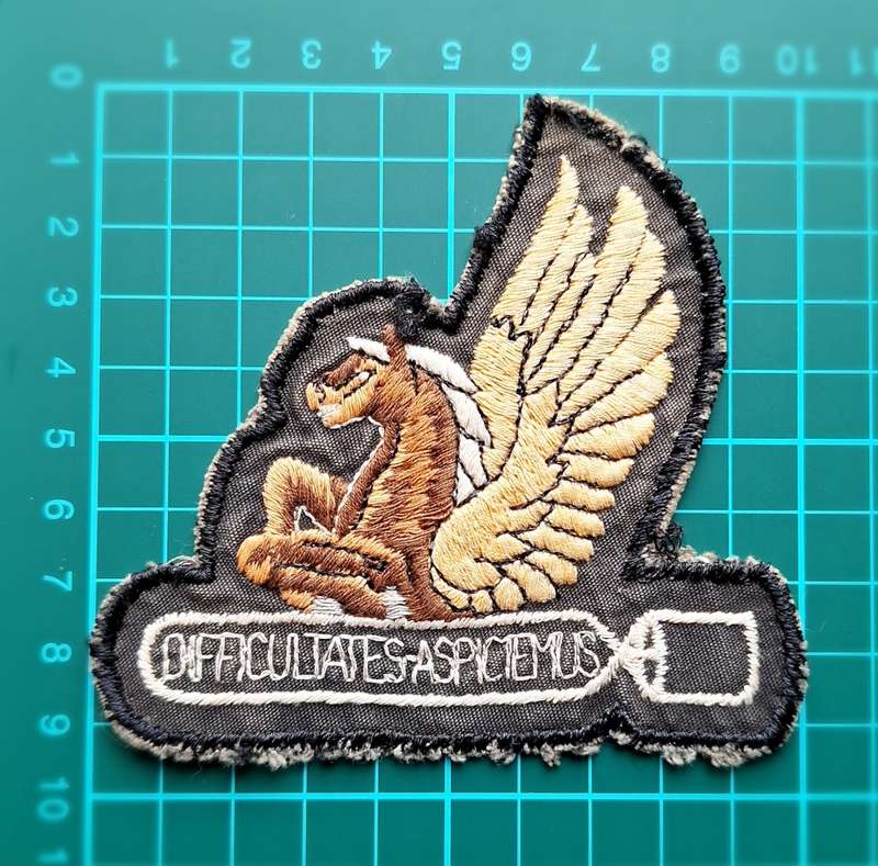 SAAF Patch 5 Squadron