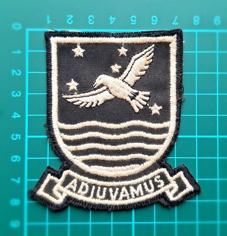 SAAF Patch 25 Squadron