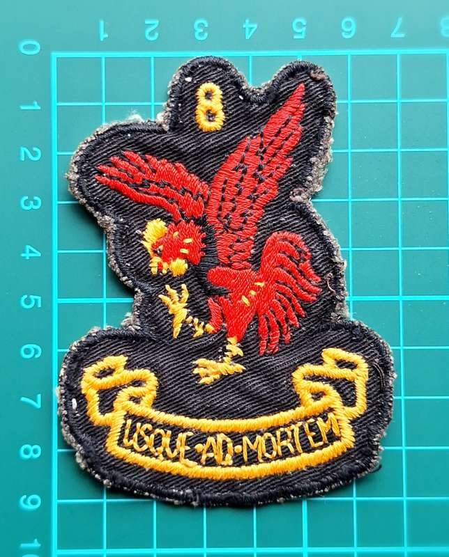 SAAF Patch 8 Squadron