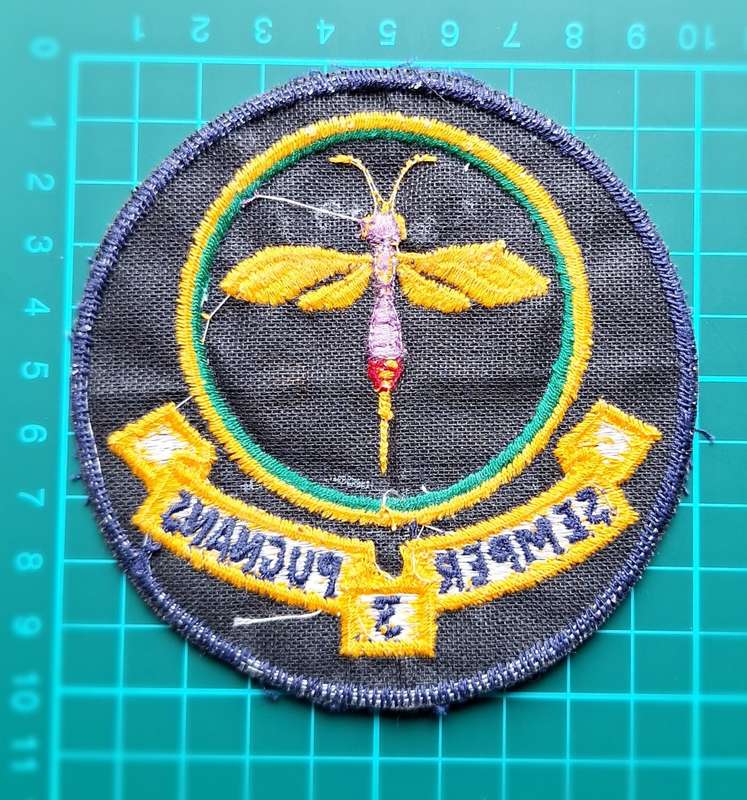 SAAF Patch 3 Squadron
