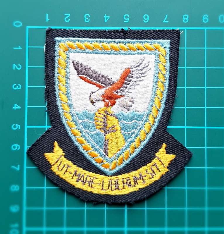 SAAF Patch 22 Squadron