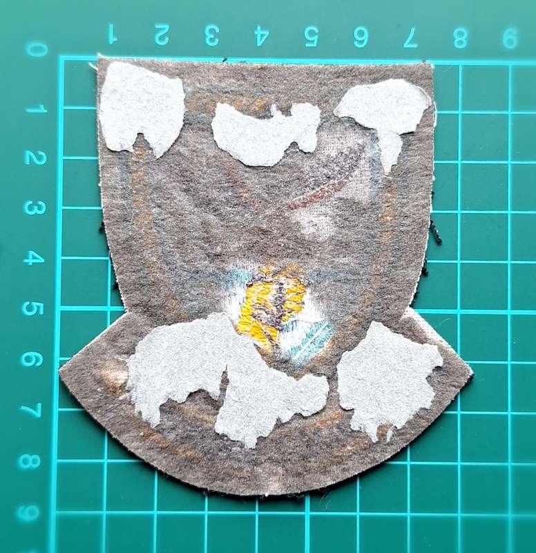 SAAF Patch 22 Squadron