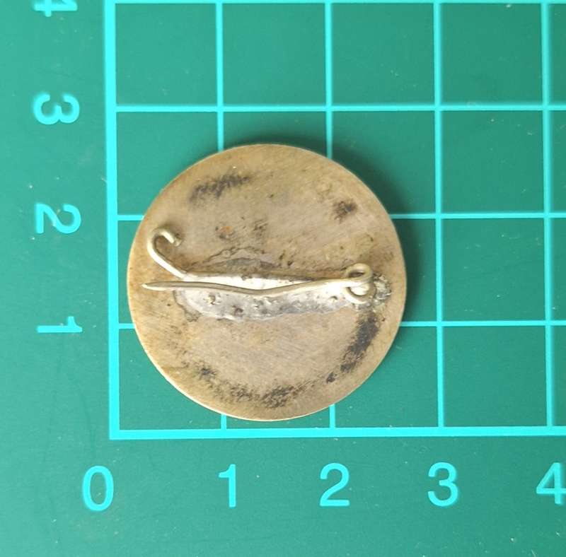 SAAF 24 Squadron WW2 Pin Badge