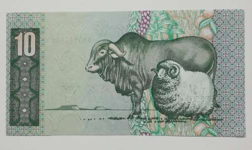 Error South Africa UNC A-UNC Stals R10 bank note. ( Off centre )