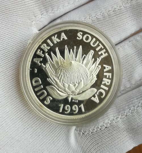 South Africa Silver Proof 1991 Nursing one rand.