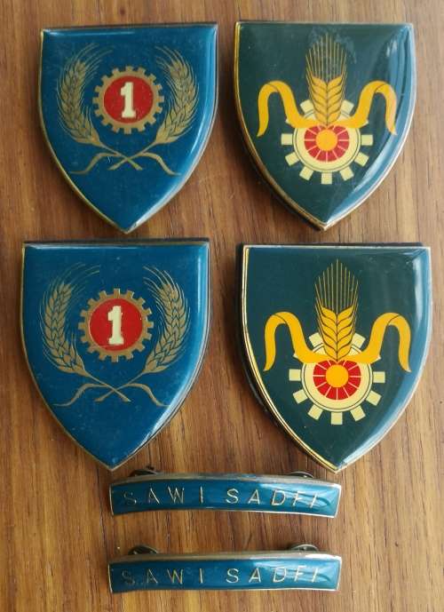 SANDF Collection of military flashes.