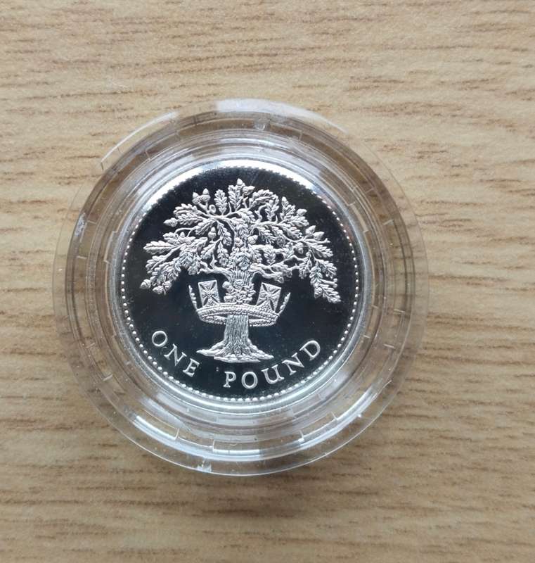 Great Britain Silver Proof 1987 One Pound With Certificate.