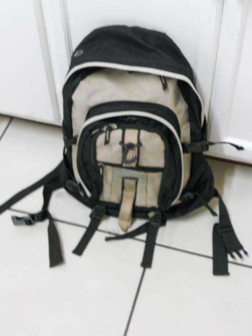 Steelers backpack
