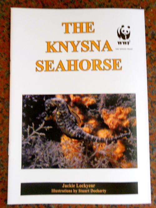 Knysna seahorse Hippocampus capensis educational conservation biology booklets