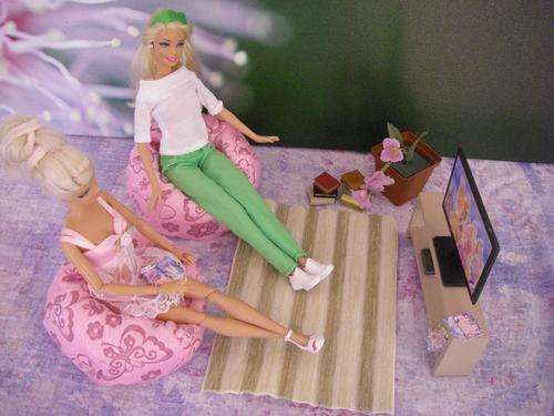 Barbie or Steffi Love doll light pink beanbags & TV unit with decoder, potplant, carpet, books, dvd