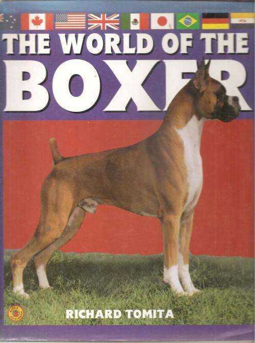 The World of the Boxer  By: Richard Tomita