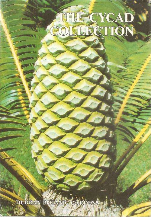The Cycad Collection - Durban Botanic Gardens