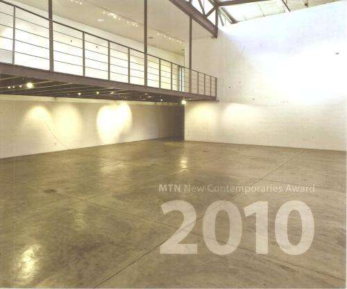 MTN New Contemporaries Award 2010