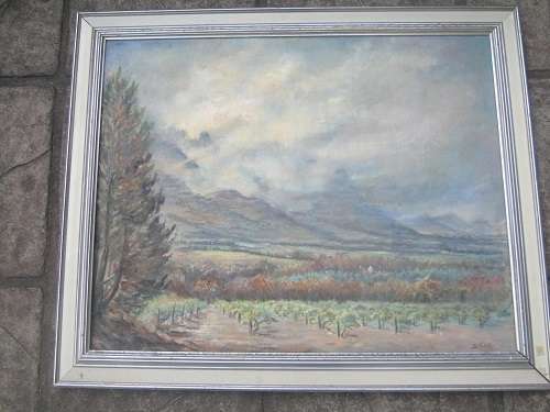 Shirley Shutler Cape Scene Oil on Board width in frame 74cms x 88cms