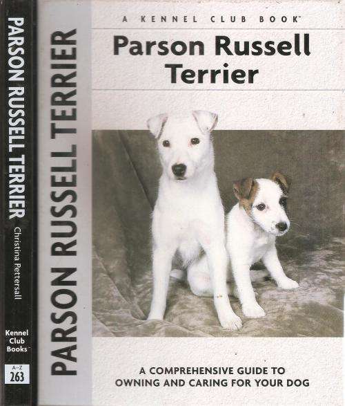 Parson Russell Terrier   by: Christina Pettersall
