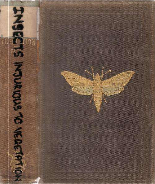 Treatise on some of the Insects Injurious to Vegetation  By: T.W. Harris Ed. C. L. Flint ***Signed